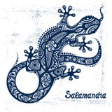 Vektorteckning av en ödla eller en salamander vektor illustrationer Vektorteckning av en ödla eller en salamander vektor illustrationer