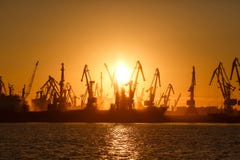 Vele grote kranen silhouetteren in de haven bij gouden licht van sunris stock foto's Vele grote kranen silhouetteren in de haven bij gouden licht van sunris stock foto's