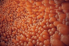 vellosidades intestinales del primer del ejemplo 3D Guarnición del intestino Vellosidades y capilar microscópicos Intestino human ilustración del vector vellosidades intestinales del primer del ejemplo 3D Guarnición del intestino Vellosidades y capilar microscópicos Intestino human ilustración del vector