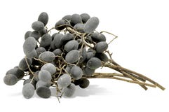 Velvet tamarind fruit isolated on white stock photography Velvet tamarind fruit isolated on white stock photography