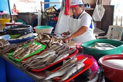 Vendedor peruano de sexo femenino en un mercado de los mariscos de los pescados imagen de archivo Vendedor peruano de sexo femenino en un mercado de los mariscos de los pescados imagen de archivo