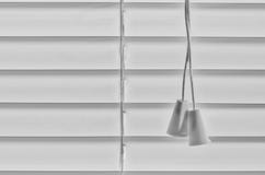 Venetian blind pull strings with negative space. royalty free stock image Venetian blind pull strings with negative space. royalty free stock image