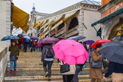 People walking with umbrellas on staircase of Rialto Bridge Ponte de Rialto in Venice, Italy royalty free stock photography People walking with umbrellas on staircase of Rialto Bridge Ponte de Rialto in Venice, Italy royalty free stock photography