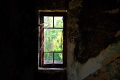 Ventana vieja del da?o con toques de bocina del banyan en un cuarto oscuro fotos de archivo Ventana vieja del da?o con toques de bocina del banyan en un cuarto oscuro fotos de archivo