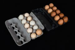 Venti uova del pollo in cartone e scatole di plastica, isolati sul fondo nero della stuoia immagini stock libere da diritti Venti uova del pollo in cartone e scatole di plastica, isolati sul fondo nero della stuoia immagini stock libere da diritti