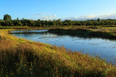 Vents d'une rivière par un pré herbeux images libres de droits Vents d'une rivière par un pré herbeux images libres de droits