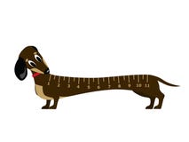 Verbaasde jonge dachshound vector illustratie Verbaasde jonge dachshound vector illustratie
