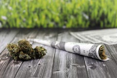 Verbinding met een dollarrekening en veel knoppen wordt gebundeld die stock afbeelding Verbinding met een dollarrekening en veel knoppen wordt gebundeld die stock afbeelding