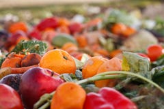Verdure come composta Verdure come composta