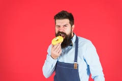 Verglaasde doughnut van de Hipster de gebaarde bakker greep op rode achtergrond Koffie en bakkerijconcept Zoete doughnut van bakk stock foto Verglaasde doughnut van de Hipster de gebaarde bakker greep op rode achtergrond Koffie en bakkerijconcept Zoete doughnut van bakk stock foto