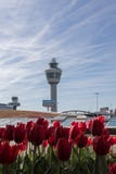 Verkehrsturm Schiphol-Flughafen mit tullips im Vordergrund lizenzfreie stockfotografie Verkehrsturm Schiphol-Flughafen mit tullips im Vordergrund lizenzfreie stockfotografie