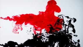 Vermelho e de tinta preta na água Movimento lento criativo Em um branco Vermelho e de tinta preta na água Movimento lento criativo Em um branco