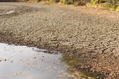 Verminderndes Wasser und Dürre im Teich stockfotografie Verminderndes Wasser und Dürre im Teich stockfotografie