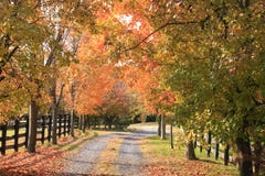 Vermont country road in Autumn