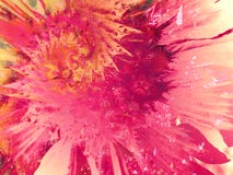 Vernici la struttura della spruzzata dello Splatter illustrazione di stock Vernici la struttura della spruzzata dello Splatter illustrazione di stock