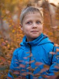 Verraste jongen in de herfstpark stock foto Verraste jongen in de herfstpark stock foto