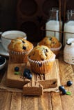 Vers gebakken bosbessenmuffins in het rustieke plaatsen stock foto's Vers gebakken bosbessenmuffins in het rustieke plaatsen stock foto's