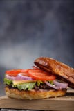 Vers gekookte hamburger met groenten en kotelet Stock Foto's Vers gekookte hamburger met groenten en kotelet Stock Foto's