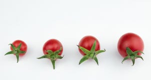 Vers, rood, geïsoleerde kersentomaten isolator van een paar van kers Witte achtergrond verse groenten van het bed stock afbeeldingen Vers, rood, geïsoleerde kersentomaten isolator van een paar van kers Witte achtergrond verse groenten van het bed stock afbeeldingen