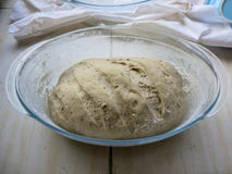 Vers verwerkt brooddeeg in een glaskom Het deeg neemt in een glascontainer toe Eigengemaakte Gebakjes Bakselvoorbereiding gezondh stock foto's Vers verwerkt brooddeeg in een glaskom Het deeg neemt in een glascontainer toe Eigengemaakte Gebakjes Bakselvoorbereiding gezondh stock foto's