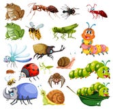 Verschillende soorten insecten vector illustratie Verschillende soorten insecten vector illustratie