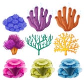 Verschillende types van koraalrif royalty-vrije illustratie Verschillende types van koraalrif royalty-vrije illustratie