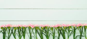Verse anjerbloemen in de houten raad stock afbeeldingen Verse anjerbloemen in de houten raad stock afbeeldingen