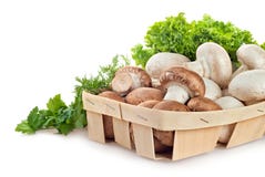 Verse paddestoelchampignons royalty-vrije stock afbeelding Verse paddestoelchampignons royalty-vrije stock afbeelding