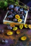 Verse rijpe violette smakelijke sappige pruimen stock foto's Verse rijpe violette smakelijke sappige pruimen stock foto's
