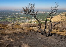 Versengter Boden von einem Feuer und von einer Stadt von Boise Idaho stockbilder Versengter Boden von einem Feuer und von einer Stadt von Boise Idaho stockbilder