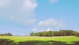 Versión 1 del campo grande y del cielo azul fotografía de archivo Versión 1 del campo grande y del cielo azul fotografía de archivo