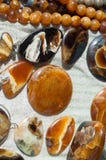 Versteinert bleibt vom Meeresflora und -fauna die Überreste oder der Eindruck einer PR lizenzfreies stockbild Versteinert bleibt vom Meeresflora und -fauna die Überreste oder der Eindruck einer PR lizenzfreies stockbild