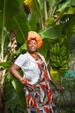 The vertical full body of a joyful African American woman wearing a bright colorful national dress poses in the garden royalty free stock image The vertical full body of a joyful African American woman wearing a bright colorful national dress poses in the garden royalty free stock image