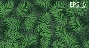 Vertical Garden With Tropical Green Leaf Pattern Background Stock Photo Vertical Garden With Tropical Green Leaf Pattern Background Stock Photo