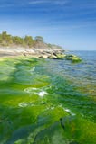 Vertical Landscape Of Green Coast Stock Photography Vertical Landscape Of Green Coast Stock Photography