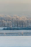 Pond between frozen field and trees in morning light stock photo Pond between frozen field and trees in morning light stock photo