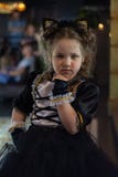 A vertical shot of little model in a cat costume royalty free stock photo A vertical shot of little model in a cat costume royalty free stock photo