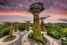 Vertical Supertree Grove at Gardens of the Bay in Singapore