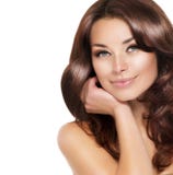 Verticale de femme de Brunette images stock Verticale de femme de Brunette images stock