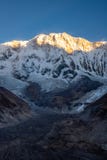 Verticale foto van Annapurna 1 en zijn gletsjermorraine tijdens zonsopgang gouden uur van Annapurna-Basiskamp, Nepal royalty-vrije stock afbeeldingen Verticale foto van Annapurna 1 en zijn gletsjermorraine tijdens zonsopgang gouden uur van Annapurna-Basiskamp, Nepal royalty-vrije stock afbeeldingen