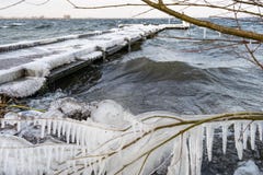 Icicles are formed when ice cold water is smashed on vegetation on the downwind side of the lake stock photo Icicles are formed when ice cold water is smashed on vegetation on the downwind side of the lake stock photo