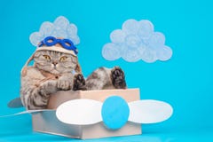 Very funny Scottish or British wearing a pilot`s cap and sitting in a plane on the background of clouds in a plane, like a boss royalty free stock photos Very funny Scottish or British wearing a pilot`s cap and sitting in a plane on the background of clouds in a plane, like a boss royalty free stock photos