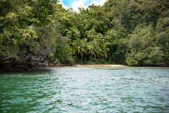 Hidden Tropical Beach with Clear Light Green Water and White Sand in Front of Rainforest, Arguni, Berau Bay, Indonesia