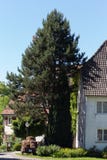 rural villages and architecture stock images rural villages and architecture stock images
