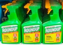 Verzamelingsonkruidverdelger door Monsanto stock afbeelding Verzamelingsonkruidverdelger door Monsanto stock afbeelding
