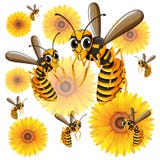 Vespas que voam em torno das flores amarelas ilustração do vetor Vespas que voam em torno das flores amarelas ilustração do vetor