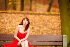 Vestido rojo de la mujer que se sienta en banco en parque del otoño Fotos de archivo Vestido rojo de la mujer que se sienta en banco en parque del otoño Fotos de archivo