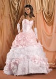 Vestito da cerimonia nuziale fotografia stock libera da diritti Vestito da cerimonia nuziale fotografia stock libera da diritti