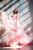 Vestito rosa dal cigno, congelato momento fotografia stock libera da diritti Vestito rosa dal cigno, congelato momento fotografia stock libera da diritti