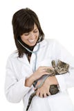 Caucasian woman Veterinarian examining a kitten